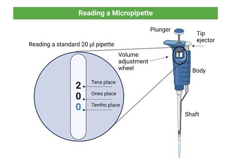 jack pipette|how do pipettes work.